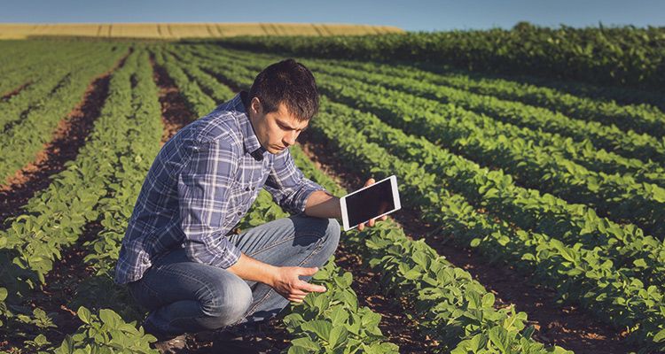 data collector in crop field